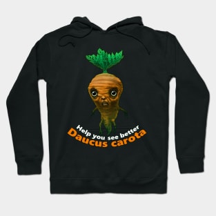 Carrots are healthy Hoodie